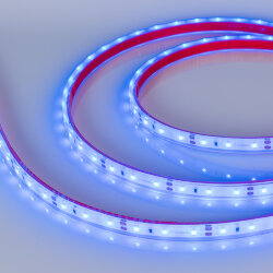 Светодиодная лента герметичная RTW-PFS-А60-11mm 12V Blue (4.8 W/m, IP68, 2835, 5m) (Arlight) 034012