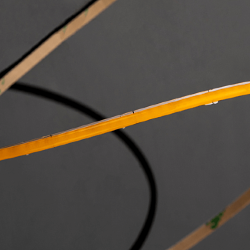 'Светодиодная лента SWG PRO COB, 400 LED/м, 4,8 Вт/м, 24В , IP20, Цвет: Нейтральный белый, SWG-COB400-24-4.8-NW 014868