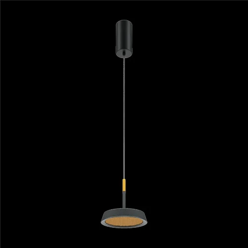 Подвесной светильник Maytoni MOD041PL-L15GB3K (Черный) - фото 3
