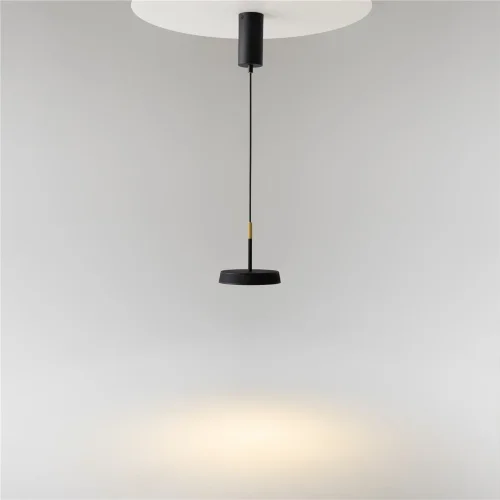 Подвесной светильник Maytoni MOD041PL-L15GB3K (Черный) - фото 10