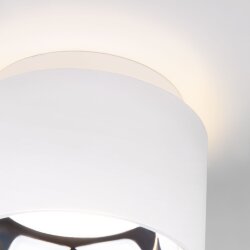 Накладной потолочный светильник 1069 GX53 WH белый матовый