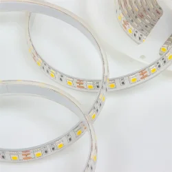 Светодиодная лента Standart PRO class, 5050, 60led/m, Warm White, 12V, IP68