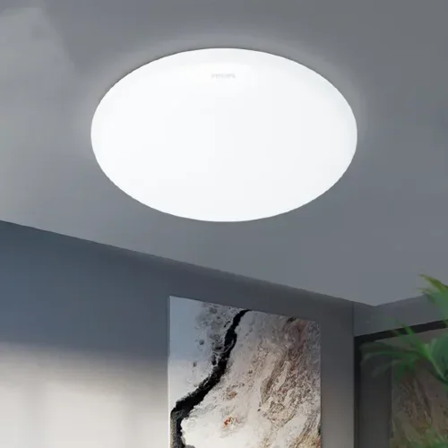 Светильник светодиодный настенно-потолочный круглый 17W/6500K IP20 D=320mm 1500Lm - PHILIPS. Фото 2