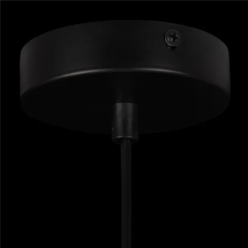 Подвесной светильник Freya FR8011PL-01N (Никель) - фото 7