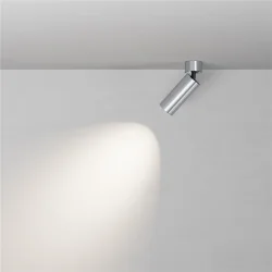 Потолочный светильник Фокус / FOCUS LED 12 Вт 4000 К 50° (Платина) C055CL-L12W4K-W-PT