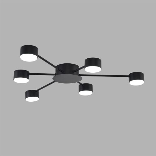 Люстра «LUMION» 8344/6C, серия: TORINA (крепление на планке). Фото 2.