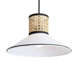 Подвесной светильник Микстура / Mixture (Черный) FR5483PL-01B3