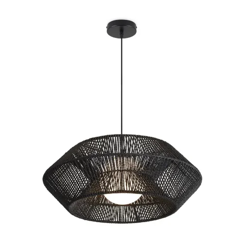 Подвесной светильник Freya FR5405PL-01B3 (Черный) - фото