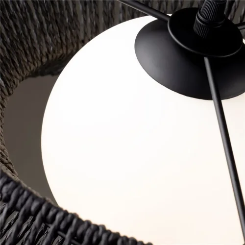 Подвесной светильник Freya FR5405PL-01B3 (Черный) - фото 5