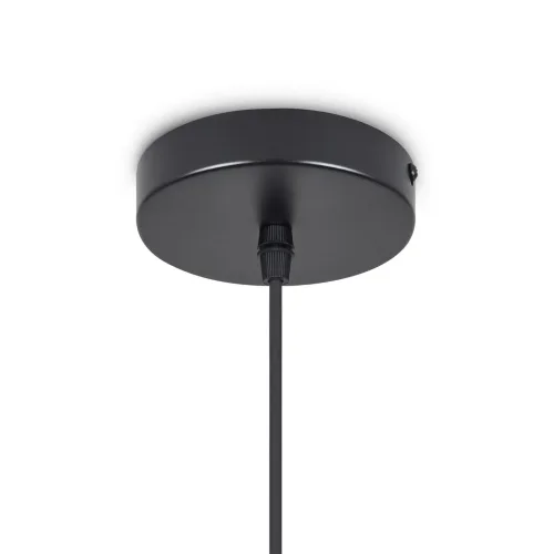 Подвесной светильник Freya FR5405PL-01B3 (Черный) - фото 6