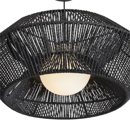 Подвесной светильник Freya FR5405PL-01B3 (Черный) - фото 7