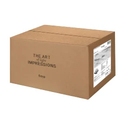 Потолочный светильник FR6040CL-L14B Нео / Neo 13 Вт LED с пультом ДУ (Черный) FR6040CL-L14B