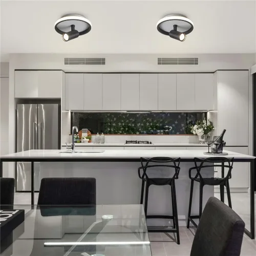Потолочный светильник FR6040CL-L14B Нео / Neo 13 Вт LED с пультом ДУ (Черный) FR6040CL-L14B - фото 12