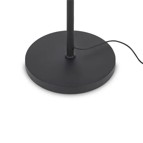 Напольный светильник (торшер) FR6148FL-L36B Мирасоль / Mirasol 25 Вт LED (Черный) FR6148FL-L36B - фото 2
