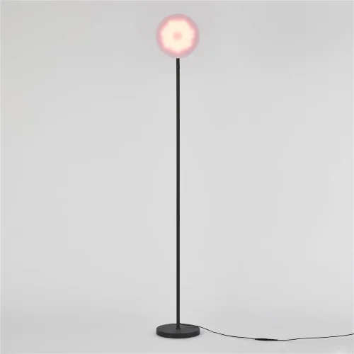 Напольный светильник (торшер) FR6148FL-L36B Мирасоль / Mirasol 25 Вт LED (Черный) FR6148FL-L36B - фото 4