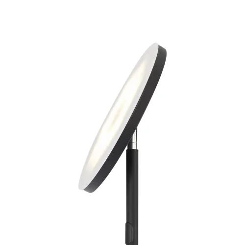 Напольный светильник (торшер) FR6148FL-L36B Мирасоль / Mirasol 25 Вт LED (Черный) FR6148FL-L36B - фото 5
