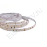 Светодиодная лента Class Premium, 2835 168 led/m, CCT (white/warm white), 24V, IP20, А44 - фото.