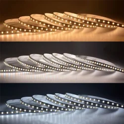 Светодиодная лента Class Premium, 2835 168 led/m, CCT (white/warm white), 24V, IP20, А44