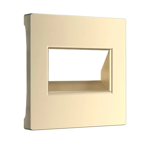 Накладка для двойной розетки Еthernet RJ-45 (шампань) W1191111 - фото