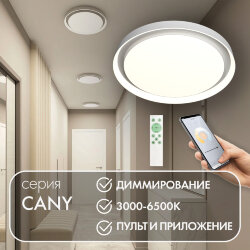 Накладной светильник со встроенным светодиодом, 50W, IP 20, 3000K - 6500K, управление пульт Д/У (в комплекте) и Wi-Fi 2,4 Ггц. Эко система Smart Life, Яндекс.Алиса, белый, металл, полимер, Denkirs DK6516-WH