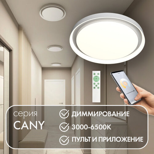 DK6516-WH Накладной светильник со встроенным светодиодом, 50W, IP 20, 3000K - 6500K, управление пульт Д/У (в комплекте) и Wi-Fi 2,4 Ггц. Эко система Smart Life, Яндекс.Алиса, белый, металл, полимер. Фото 3