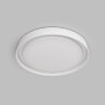 DK6516-WH Накладной светильник со встроенным светодиодом, 50W, IP 20, 3000K - 6500K, управление пульт Д/У (в комплекте) и Wi-Fi 2,4 Ггц. Эко система Smart Life, Яндекс.Алиса, белый, металл, полимер. Фото 2