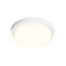 DK6516-WH Накладной светильник со встроенным светодиодом, 50W, IP 20, 3000K - 6500K, управление пульт Д/У (в комплекте) и Wi-Fi 2,4 Ггц. Эко система Smart Life, Яндекс.Алиса, белый, металл, полимер. Фото 5