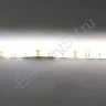 Светодиодная лента LUX class, 5050, 60 led/m, Warm White,12V, IP65 - фото 4.