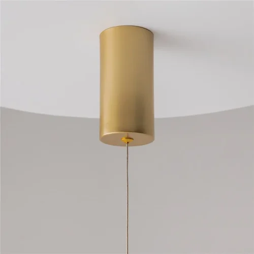 Подвесной светильник Ray 3000К 20Вт 360° (Золото) - фото 5