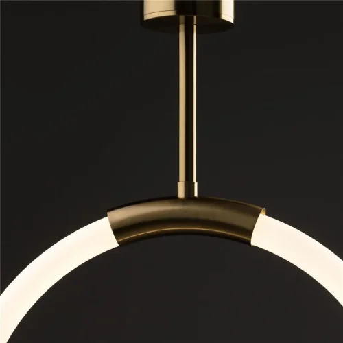 Подвесной светильник Freya FR5387PL-L14BS (Латунь) - фото 5