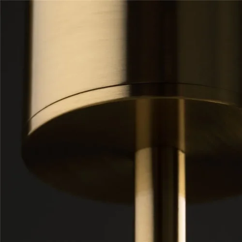 Подвесной светильник Freya FR5387PL-L14BS (Латунь) - фото 6