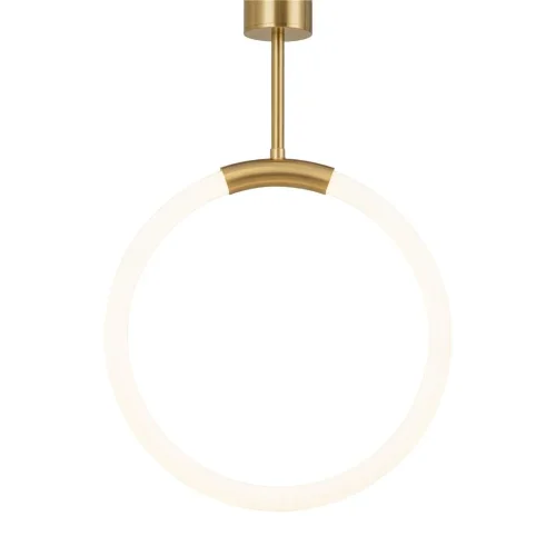 Подвесной светильник Freya FR5387PL-L14BS (Латунь) - фото 7