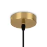 Подвесной светильник Freya FR5387PL-L14BS (Латунь) - фото 9