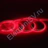 Светодиодная лента Standart Pro class, 2835, 120 led/m, 5mm, без скотча, red, 24V, IP20, SL2 - фото.