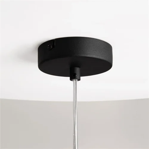 Подвесной светильник Duality E27х1 (Черный) - фото 15