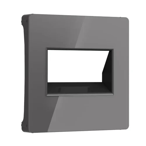 Накладка для двойной розетки Еthernet RJ-45 (графит акрил) W1191144 - фото