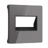 Накладка для двойной розетки Еthernet RJ-45 (графит акрил) W1191144 - фото