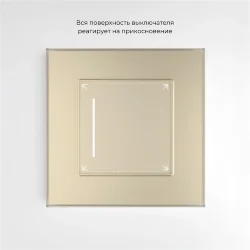 Сенсорный выключатель одноклавишный с подсветкой (шампань) W4512011