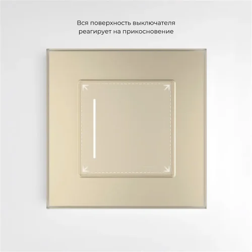 Сенсорный выключатель одноклавишный с подсветкой (шампань) W4512011 - фото 6
