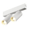 DK8012-WH Акцентный светильник SMART SPOT DOUBLE 2x9W DIM 3000K-6000K, белый. Фото 2