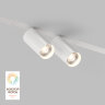 Светильник на шине Denkirs SMART SPOT | СМАРТ СПОТ DK8012-WH.