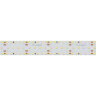 Светодиодная лента S2-2500 24V Warm 2700K 34mm (2835, 280 LED/m, LUX) (Arlight, 25 Вт/м, IP20) - фото 2