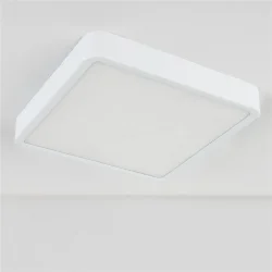Накладной потолочный светодиодный светильник DLS034 18W 4200K (043017)