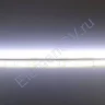 Светодиодная лента Standart PRO class, 3528, 120 led/m, Day White, 24V, IP54 - фото 4.