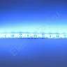 Светодиодная лента Standart PRO class, 5050, 60led/m, Blue, 12V, IP65 - фото 3.
