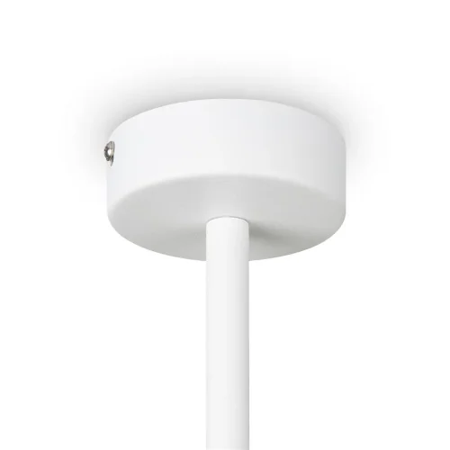 Потолочный светильник Freya FR5363CL-06W (Белый) - фото 5