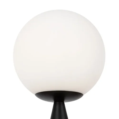 Настольный светильник Freya FR5289TL-01B (Черный) - фото 17