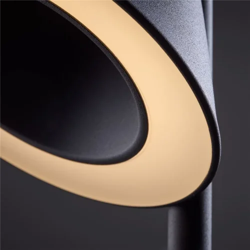 Настольный светильник Freya FR6141TL-L7B (Черный) - фото 5