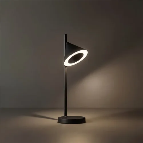 Настольный светильник Этро / Etro (Черный) FR6141TL-L7B - фото 8