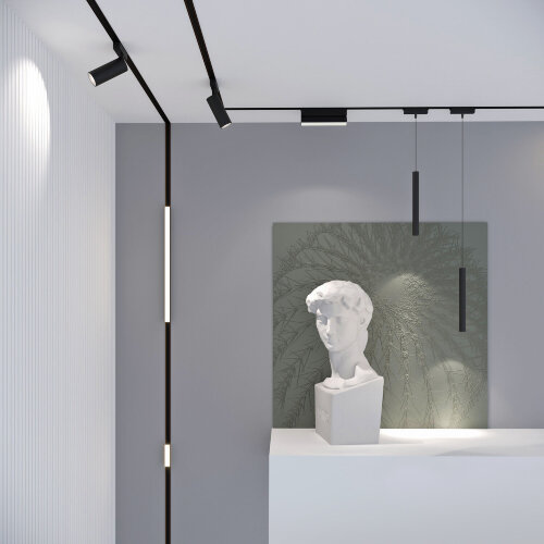 Трековый светильник 10W 4000K Unity Flat Magnetic - Фото 4